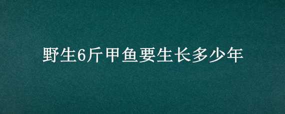 野生6斤甲鱼要生长多少年（野生6斤甲鱼要生长多少年才能吃）