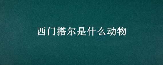 西门搭尔是什么动物（西门塔尔是什么动物）