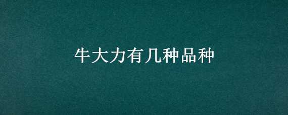 牛大力有几种品种（牛大力有几种品种有多少叶子）