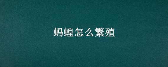 蚂蝗怎么繁殖 蚂蝗怎么繁殖视频