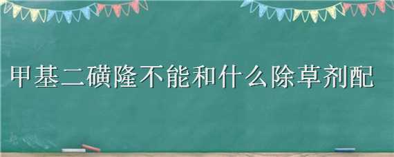 甲基二磺隆不能和什么除草剂配 甲基二磺隆不能和什么除草剂配伍