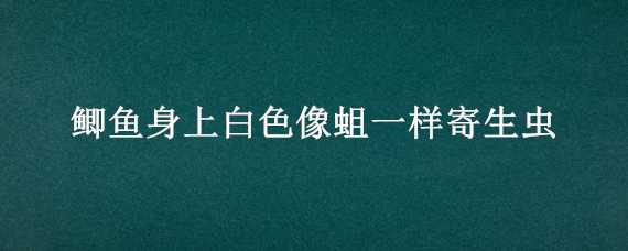 鲫鱼身上白色像蛆一样寄生虫 鲫鱼身上白色像蛆一样寄生虫是什么