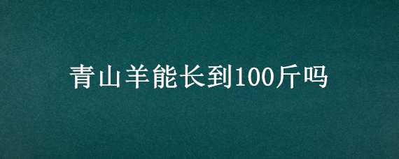 青山羊能长到100斤吗 青山羊能长到多少斤