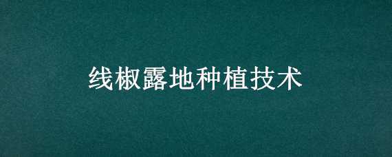 线椒露地种植技术（线椒露地种植技术与管理）