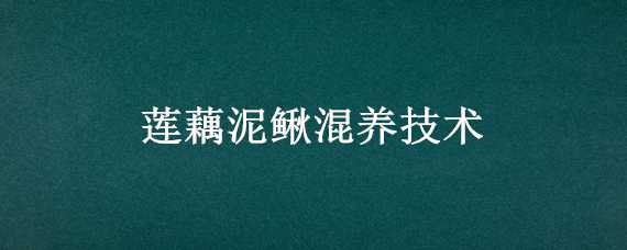 莲藕泥鳅混养技术 莲藕泥鳅混养技术与管理