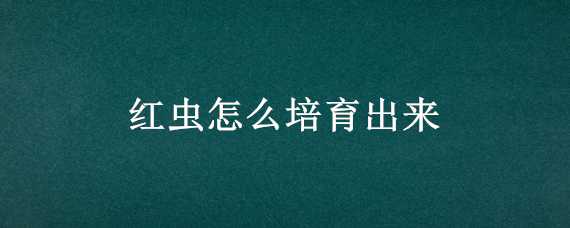 红虫怎么培育出来（红虫怎么培育出来的视频）