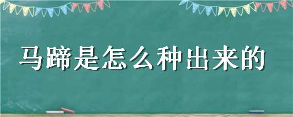 马蹄是怎么种出来的 马蹄怎样种