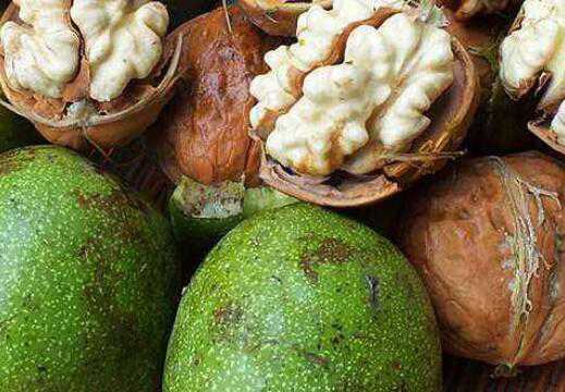 野核桃皮的功效与作用及禁忌有哪些 野山核桃皮的功效与作用