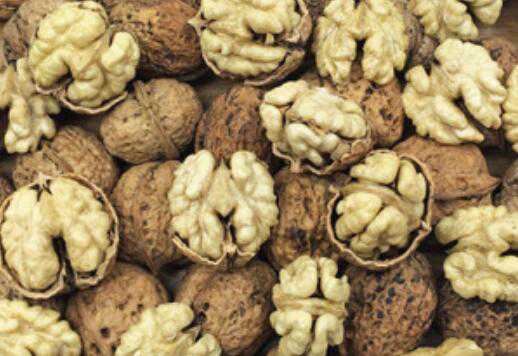 云南纸皮核桃的功效与作用 云南纸皮核桃特点