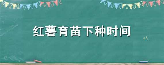 红薯育苗下种时间（育红薯苗的时间）