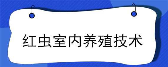 红虫室内养殖技术（红虫室内养殖技术要点）