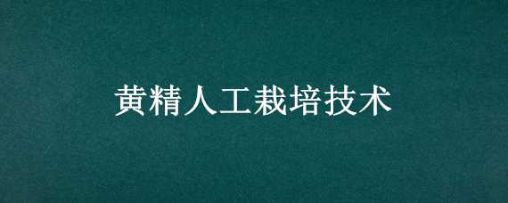 黄精人工栽培技术（黄精人工栽培技术视频）