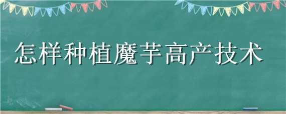 怎样种植魔芋高产技术（种植魔芋技术栽种方法）