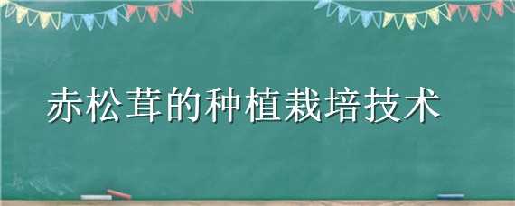 赤松茸的种植栽培技术（赤松茸的种植栽培技术视频）