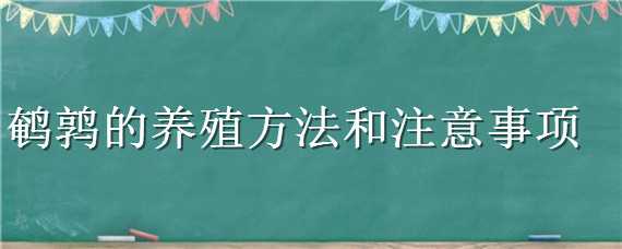 鹌鹑的养殖方法和注意事项（鹌鹑的饲养方法和注意事项）