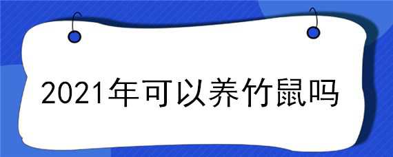 2021年可以养竹鼠吗（2021国家给养竹鼠了吗）