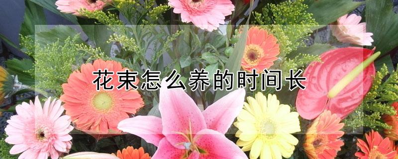 花束怎么养的时间长 花束可以养多久