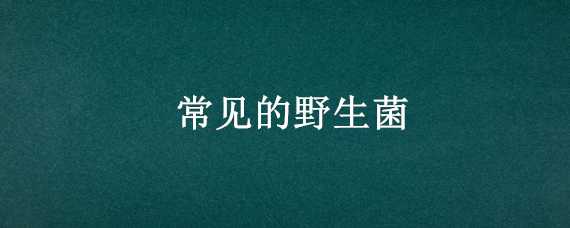 常见的野生菌 四川常见的野生菌