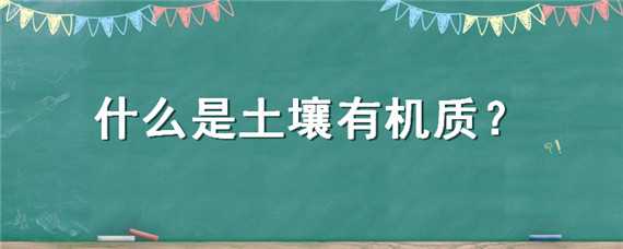 什么是土壤有机质 什么是土壤有机质的矿质化过程