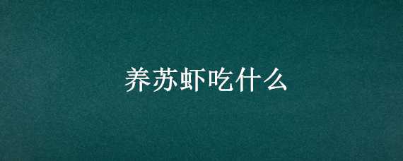 养苏虾吃什么（养苏虾需要什么）