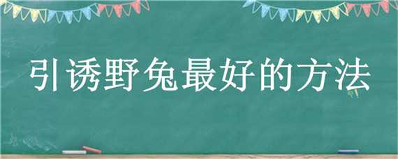 引诱野兔最好的方法 野兔用什么食物引诱