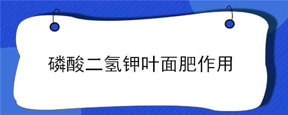 磷酸二氢钾叶面肥作用 磷酸二氢钾叶面肥作用芸豆