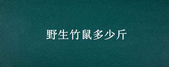 野生竹鼠多少斤 竹鼠有多少斤