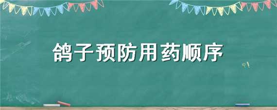 鸽子预防用药顺序 鸽子喂药顺序