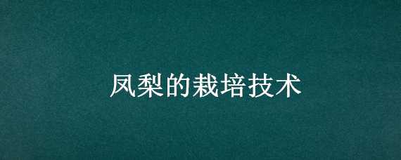 凤梨的栽培技术（凤梨的栽培技术与管理）