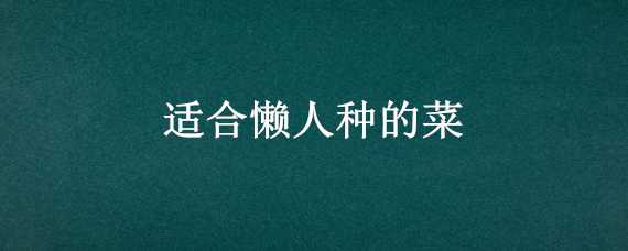 适合懒人种的菜 适合懒人种的菜 阳台