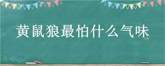 黄鼠狼最怕什么气味（黄鼠狼最怕什么气味驱赶）