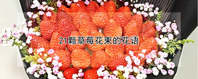 21颗草莓花束的花语 21颗草莓花束的寓意
