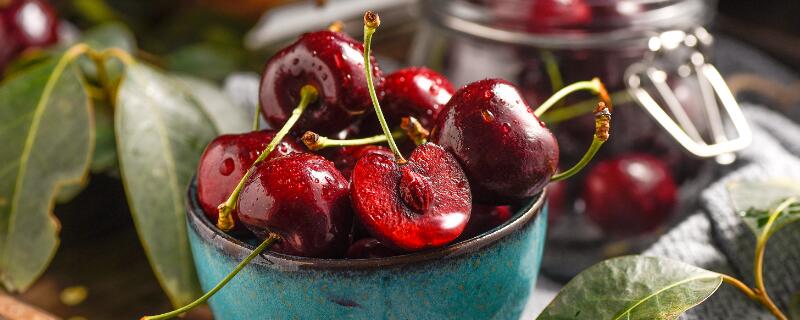 车厘子什么时候开花结果 南方车厘子什么时候开花结果