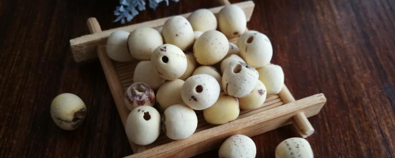 莲子的种植方法和时间(莲子什么时候移栽)