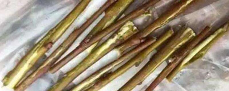 柳树皮养花怎么处理（柳树皮做花肥要怎么处理）