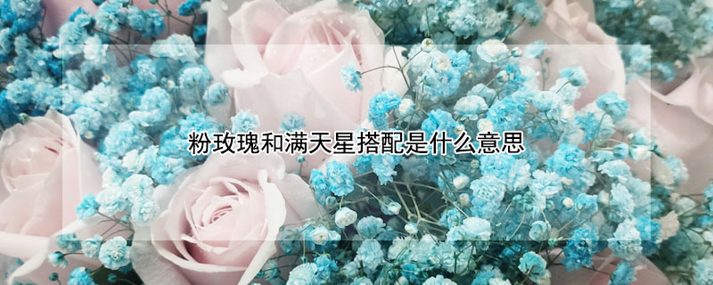 粉玫瑰和满天星搭配是什么意思（11朵粉玫瑰和满天星搭配是什么意思）