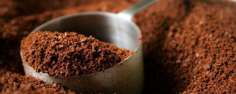 咖啡渣养花（咖啡渣养花怎么用）