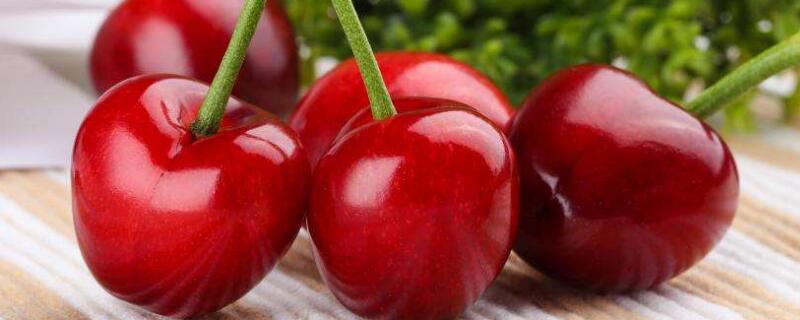 樱桃什么时候成熟 樱桃什么时候成熟上市