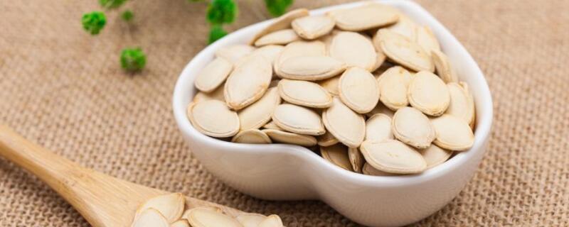 南瓜子如何发芽（南瓜怎么发芽）