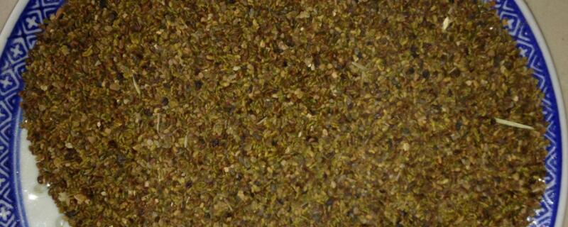 黑麦草种植方法 黑麦草种植方法和时间