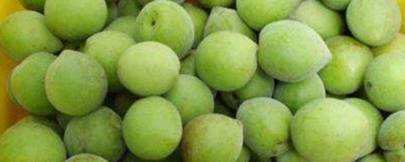 酸梅有几种（酸梅有几种价）