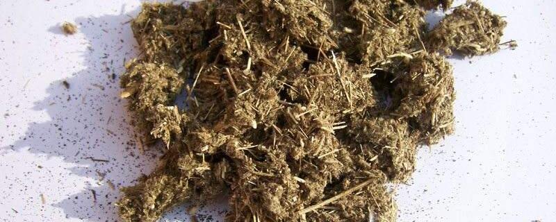 艾灰可以放花盆养花吗 艾灰可以放花盆里吗