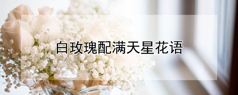 白玫瑰配满天星花语 白玫瑰配满天星花语是什么