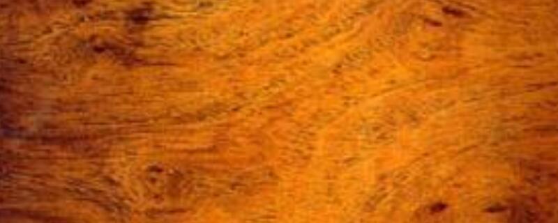 那些木材属于红木（红木一般指的是哪种木材）