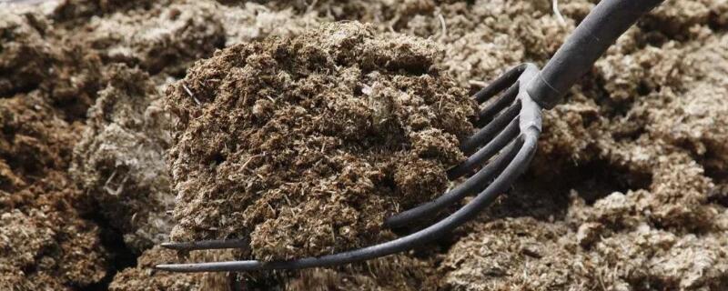 咖啡渣沤肥详解 咖啡渣堆肥方法