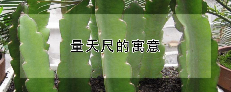 量天尺的寓意 量天尺的寓意图片