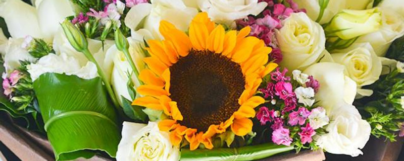 向日葵配白玫瑰的花语 向日葵搭配粉玫瑰花语