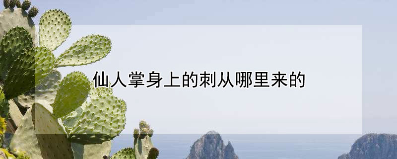 仙人掌身上的刺从哪里来的(仙人掌身上的刺是用来干嘛的)