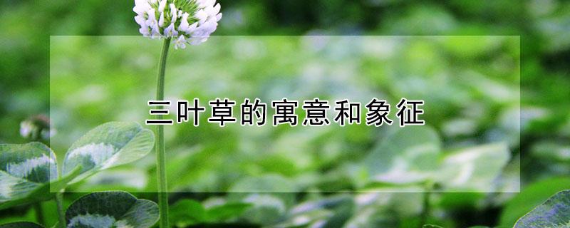 三叶草的寓意和象征（三叶草的寓意和象征? 去回答）