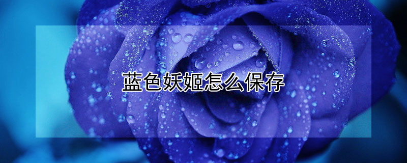 蓝色妖姬怎么保存 蓝色妖姬怎么保存长久